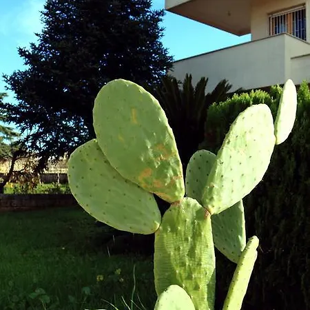 Bed & Breakfast Maregrotte *